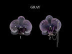 Pierced Orchid Hairclip/Keychain