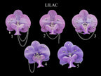 Pierced Orchid Hairclip/Keychain